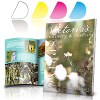 Revistas